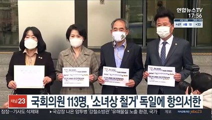국회의원 113명, '소녀상 철거' 독일에 항의서한