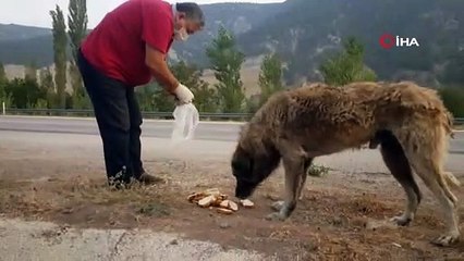 Her gün aynı yerde onu bekliyor