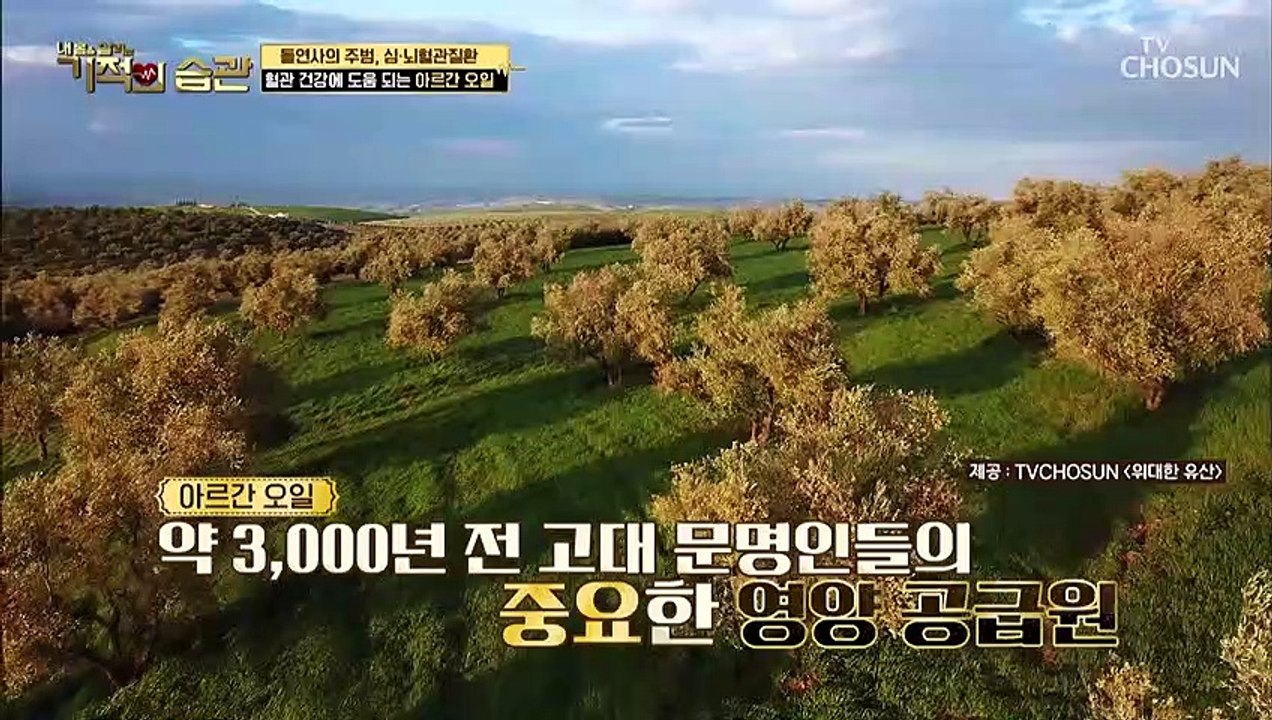 ◇내 몸속 생명줄◇ 혈관 건강을 지키는 비법?! #광고포함