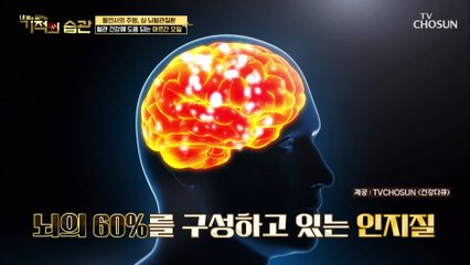 혈관 건강에 도움 되는 착한 지방 ✦아르간오일✦ #광고포함