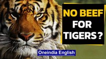 No beef for tigers, demands BJP leader Borah in Assam | Oneindia News