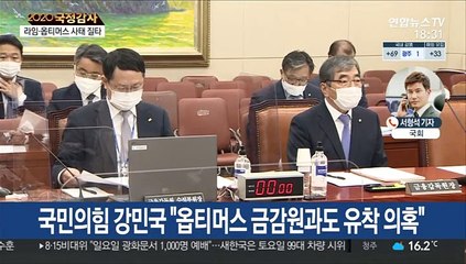 국감 달군 '라임-옵티머스 사태'…부실감독 질타