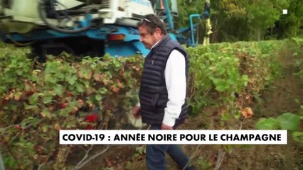 Covid-19 : année noire pour le champagne