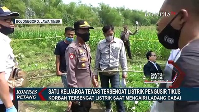 Satu Keluarga Tewas Tersengat Listrik Pengusir Hama Tikus di Kebun Cabai