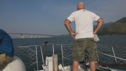 Los delfines rosados vuelven a Hong Kong por las restricciones de la pandemia