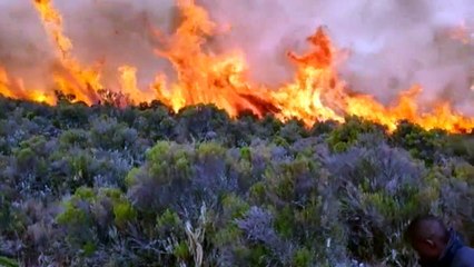 Fire rages on Kilimanjaro, Africa's highest mountain