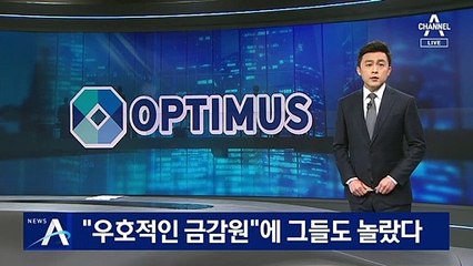 “우호적인 금감원”…野, 옵티머스 유착 정황 녹취 공개