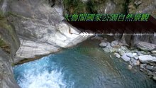感謝客戶包車 》花蓮景點推薦》新白楊步道》白楊瀑布》白楊吊橋》水簾洞》成群台灣獼猴》新竹777車行