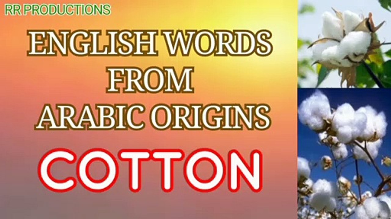 English words from Arabic origins | Arabic origin for Cotton | Shorts