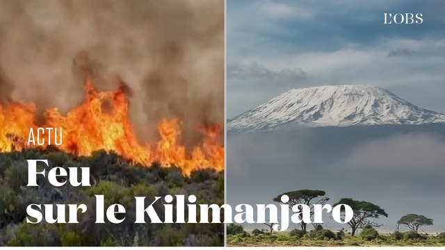 Un incendie ravage le Kilimanjaro, la plus haute montage d'Afrique