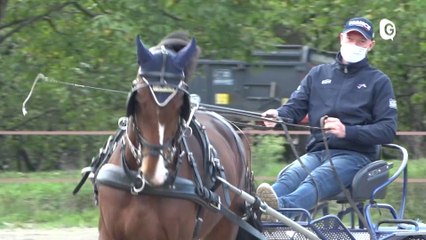 Reportage - Jean-Michel Olive et Sinnamari : un duo qui roule