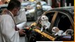 Slideshow - Priest blesses animals in drive-thru ceremony