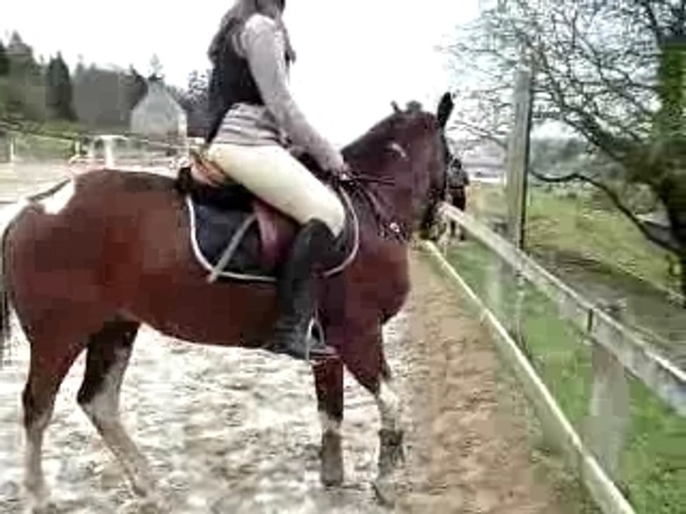 Moii et colo (6) en dressage