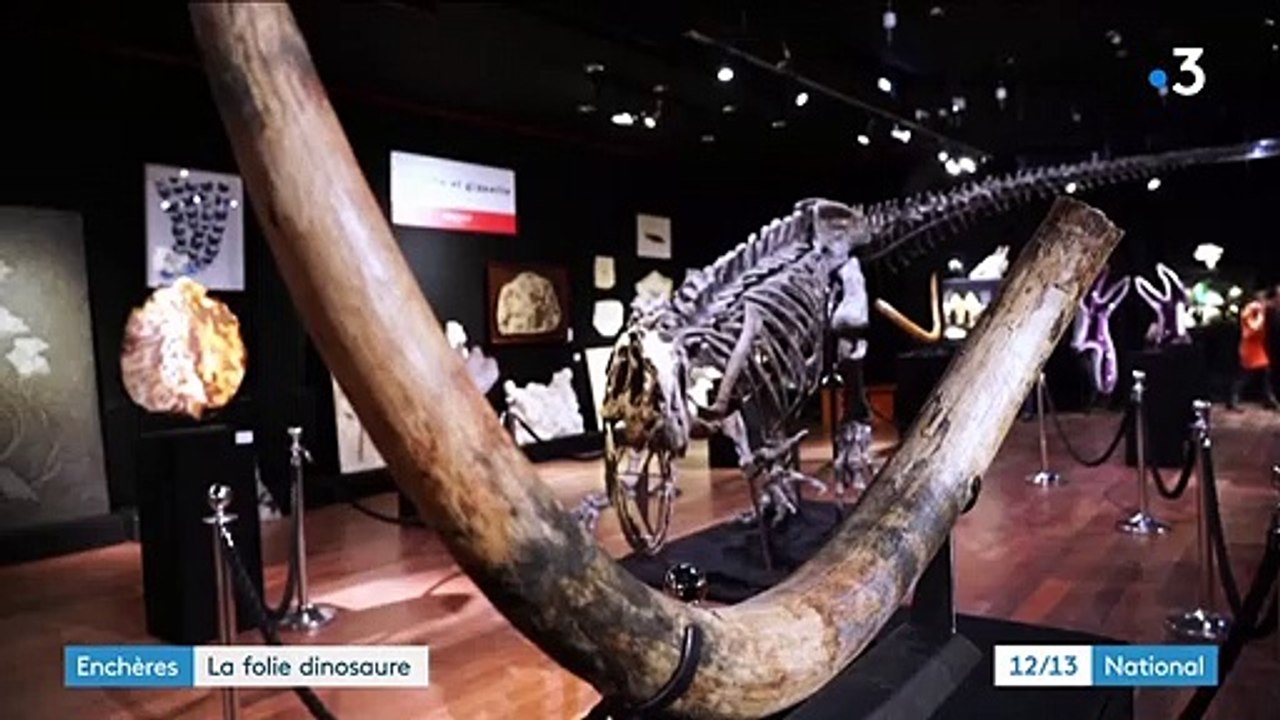 Le squelette de l'allosaure Big Sara fait grimper les enchères à Paris