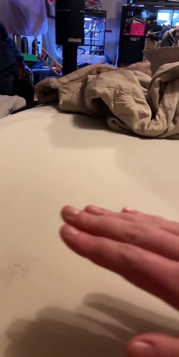 Fist Bump with a Fun Bird