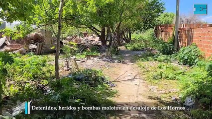 Detenidos, heridos y bombas molotov en desalojo de Los Hornos