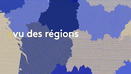 À Bordeaux, des chercheurs fabriquent un fil biologique qui pourrait remplacer les vaisseaux sanguins
