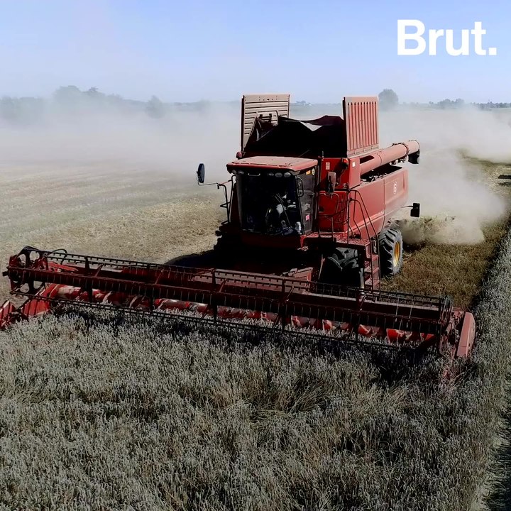 What We Learned From the IPCC’s Alarming Agriculture Report