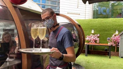 Concerned Small Pub And Bar Owners