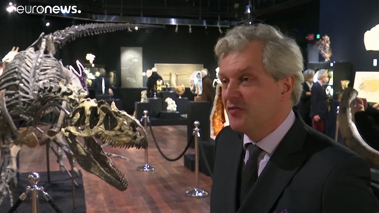 Le squelette d'un dinosaure vendu aux enchères à Paris