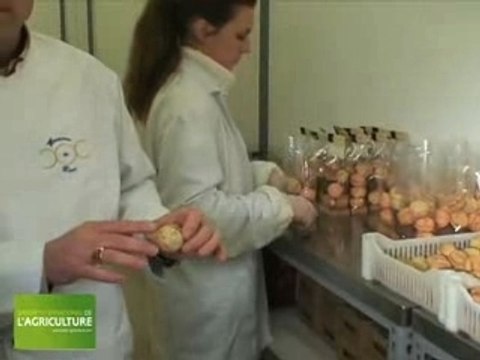 Les macarons de Réau seront au salon de l'agriculture