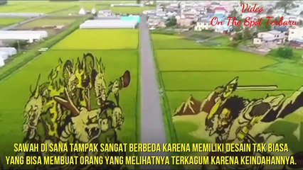 Mengenal Tanbo Art, Uniknya Seni Melukis Sawah Berasal Dari Jepang