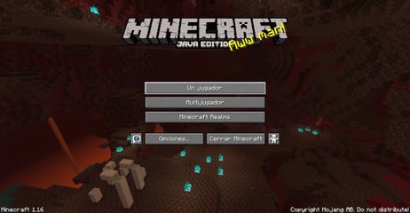 Un choclo Un mundo [Parte N°1 (Minecraft 1.16)] / El lugar inesperado