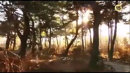 Boys over flowers  Capitulo 1 completo (Español latino)