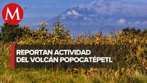 Cae ceniza en Puebla y EdoMex tras intensa actividad del Popocatépetl