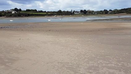 A fond petit Phandor