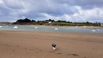 Les poilus seuls sur la plage