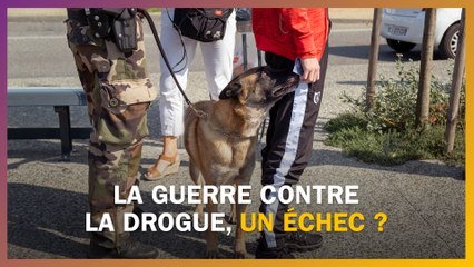 Lutte contre la drogue : le "tout-répressif" est-il efficace?