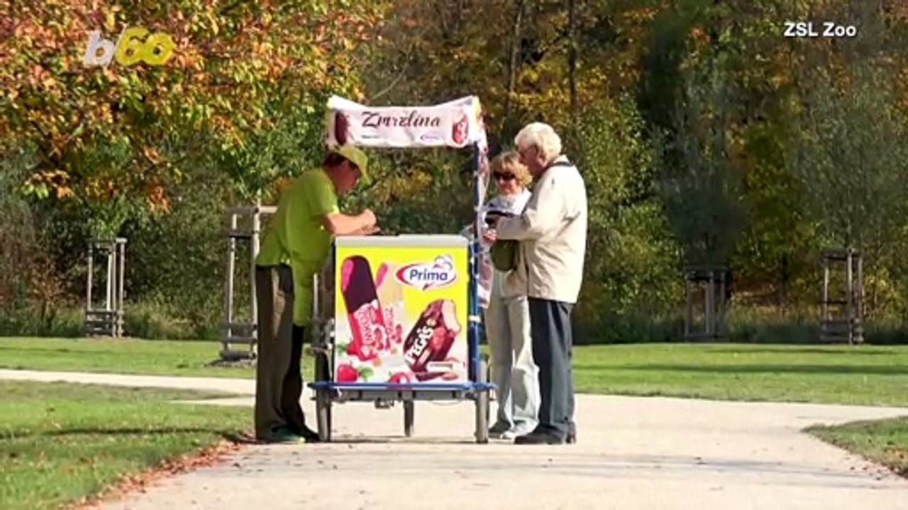 Monkeys & Gorillas at London Zoo Cool Off with These Tasty Treats!