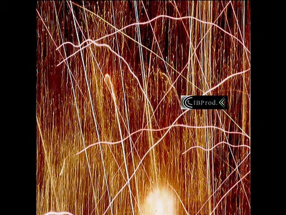 Brekekekexkoaxkoax - Dolokotoro