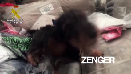 Police dog finds migrants hiding in clothes pile