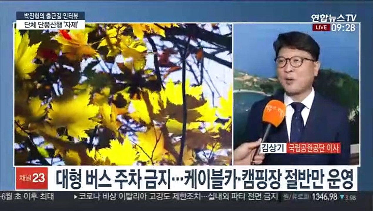 [출근길 인터뷰] "올해 단풍은 온라인으로 보세요"…단체산행 자제 권고