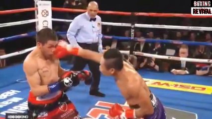 Donnie Nietes vs Juan Carlos Reveco Highlights
