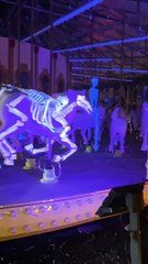 Halloween Illumi Montreal, light show