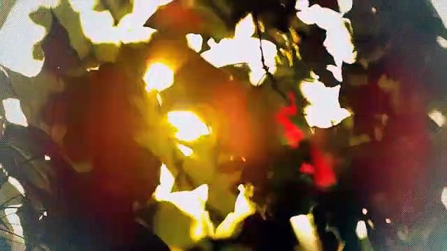 A vendre - Appartement - Pont-de-la-Morge (1962) - 4.5 pièces - 120m²