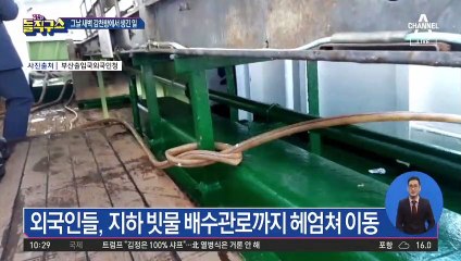 [사파남]영화 속 첩보원처럼…바다로 뛰어든 외국인들