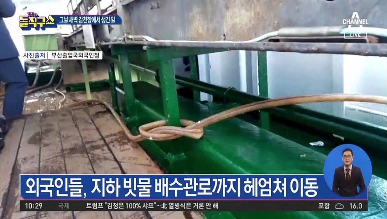 [사파남]영화 속 첩보원처럼…바다로 뛰어든 외국인들