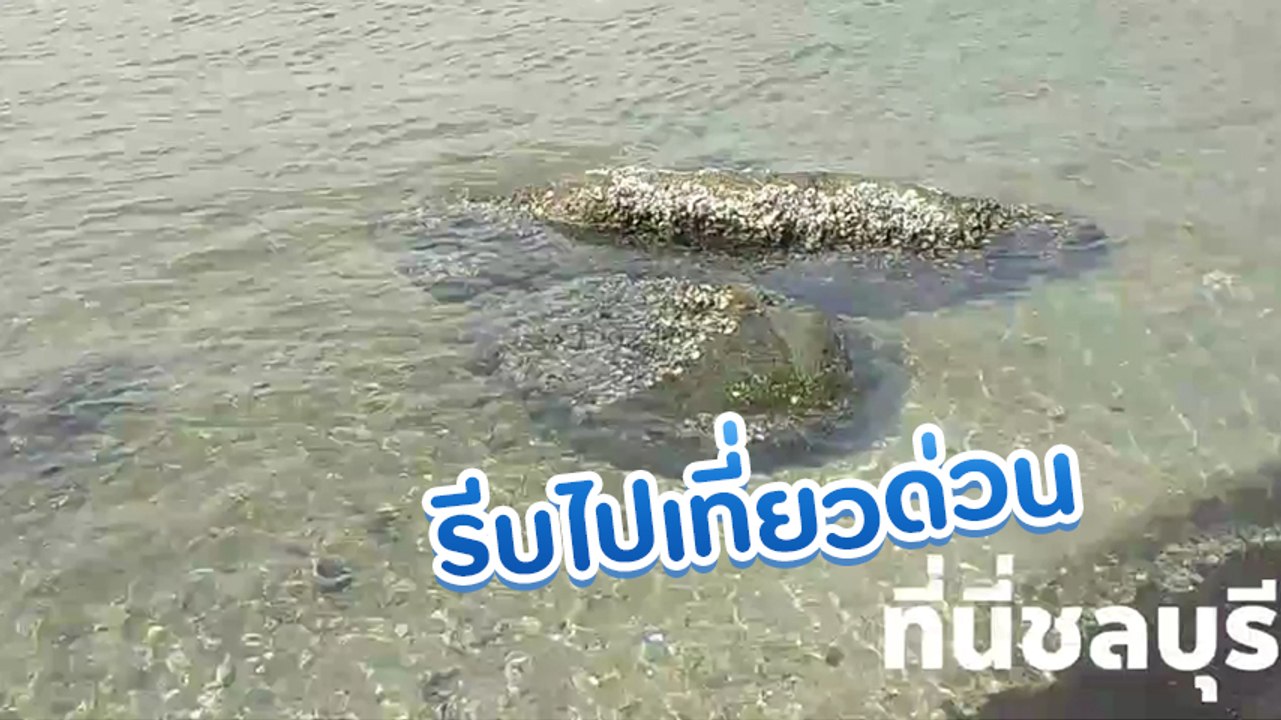 ตะลึง !! 1 ปีมีครั้งเดียว ทะเลบางแสนน้ำใสกิ๊ง ราวกับอยู่มัลดีฟส์