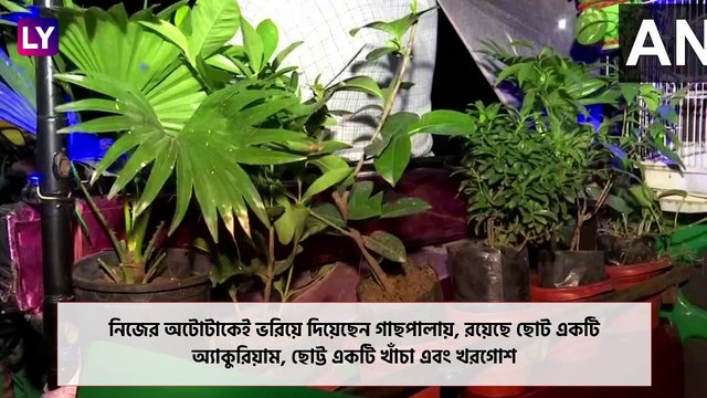 Auto Converts Into a Garden: গাছপালা, মাছ, খরগোশ মিলেমিশে মিনি-জু হল অটো