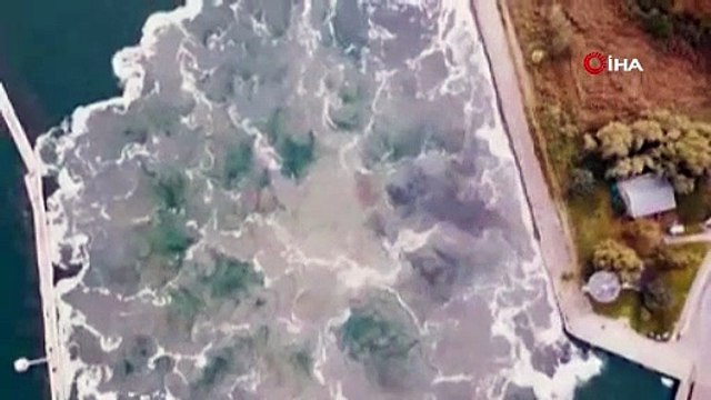 Polonya tarihindeki patlamamış en büyük bomba 'Tallboy' imha edildi