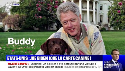 Etats-Unis : Joe Biden joue la carte canine ! - 14/10