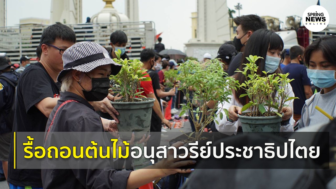 กลุ่มผู้ชุมนุมได้ทำการรื้อถอนต้นไม้บริเวณ อนุสา...