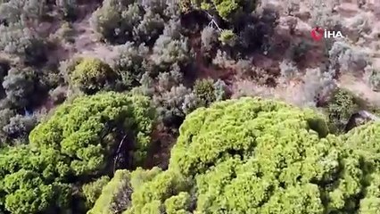 Bursa\'da bu köyün 7 tane girişi var... Yine de kimse bulamıyor!