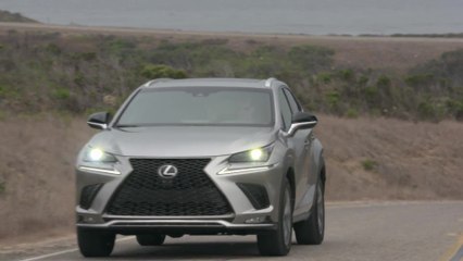 2021 Lexus NX 300 F Sport Driving Video