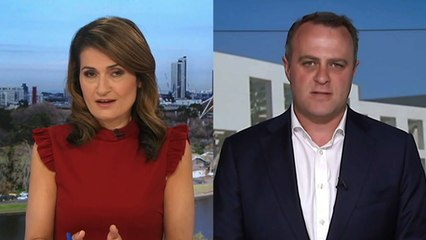 MP Wilson: Vic. lockdown is "degrading and dehumanising"