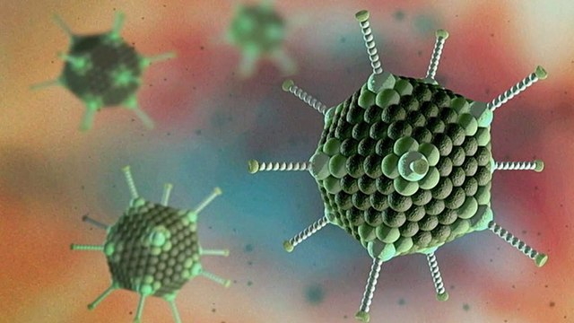 Qld researchers use common cold virus to kill skin cancer